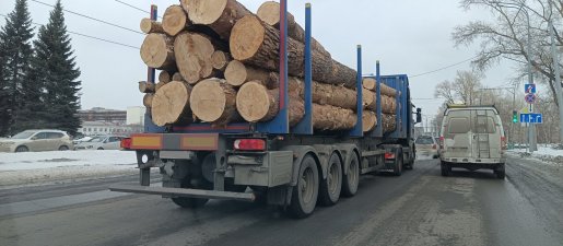 Поиск транспорта для перевозки леса, бревен и кругляка стоимость услуг и где заказать - Ставрополь